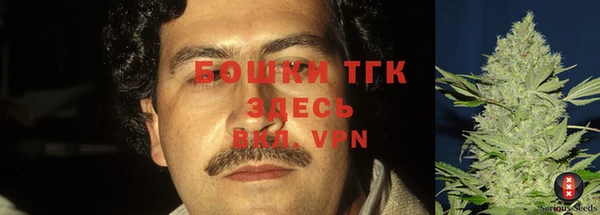 дмт Горнозаводск