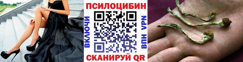 где купить наркоту  Мезень  Псилоцибиновые грибы Magic Shrooms 